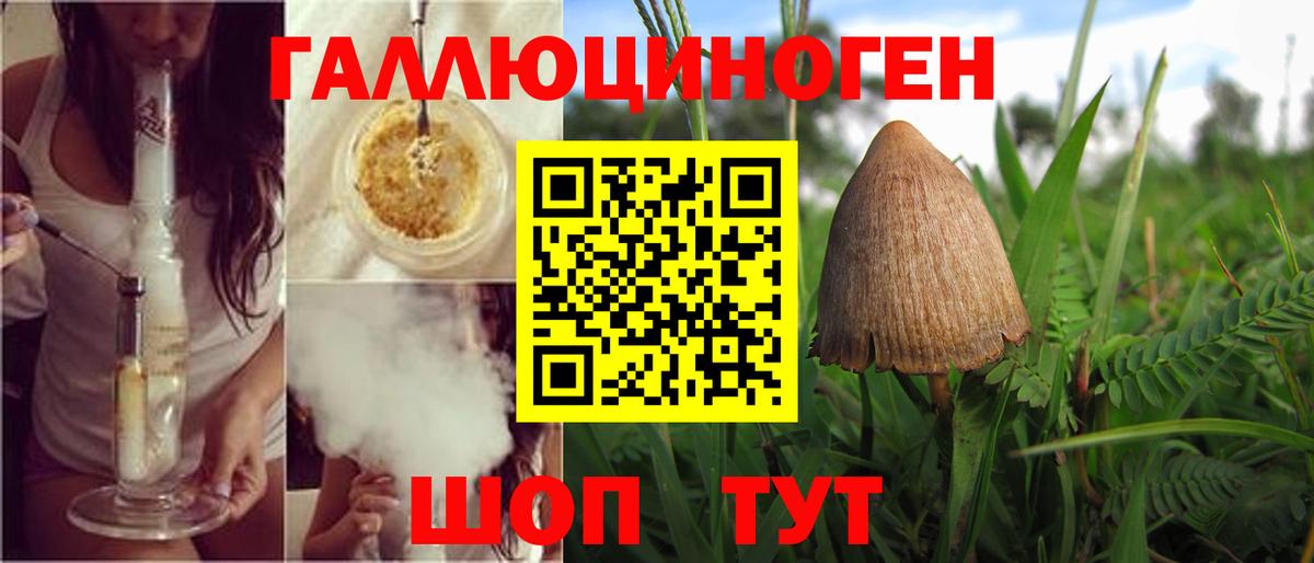 Псилоцибиновые грибы Magic Shrooms  Вход с VPN  Южно-Сахалинск 