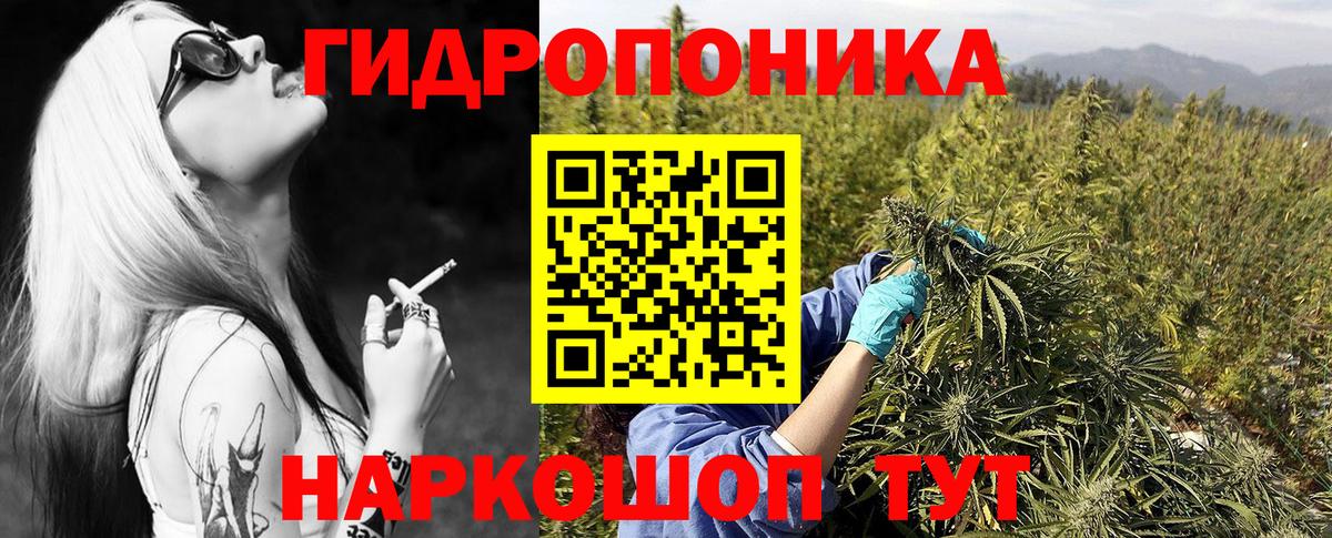 Бошки Шишки семена Южно-Сахалинск